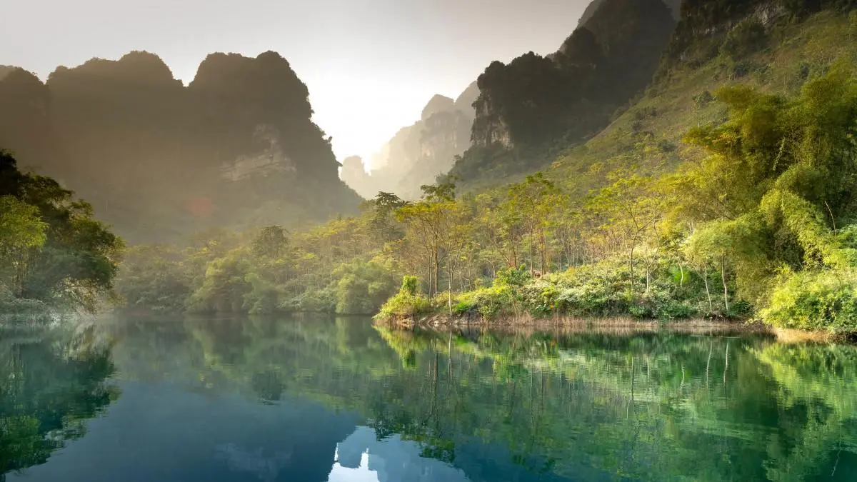 环保绿色高标准